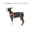 画像3: 【チョークフリーで締め付けない】小型犬用アクティブXスハーネス（柔らかストラップタイプ） (3)