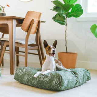 クレートカバー　オーダー受付 鳥用 ケージカバー鳥 猫 犬 鳥かごカバー ケージカバー おやすみ