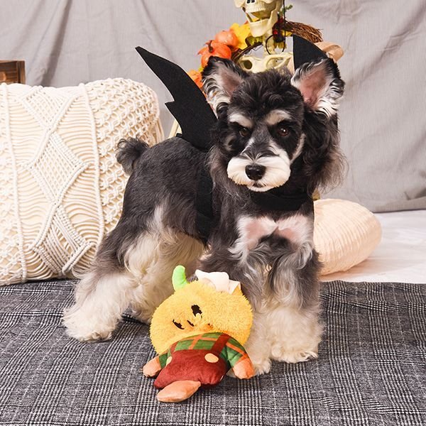 画像4: 【ハグスマートの丈夫なおもちゃ】ハロウィーンナイト・かかし (4)