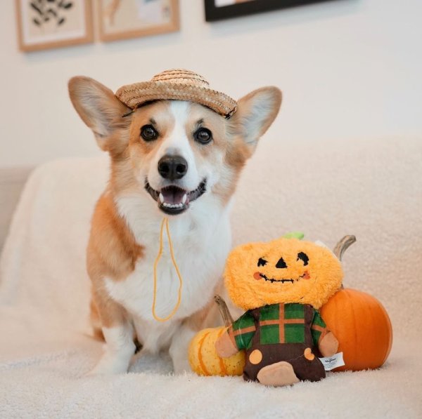 画像6: 【ハグスマートの丈夫なおもちゃ】ハロウィーンナイト・かかし (6)