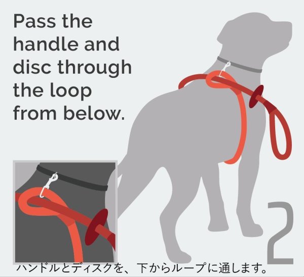 画像5: 【アメリカ老舗のこだわりハンドメイド】リフレクティブ・イージー 1-2-3 コンビネーション ハーネス／リード (5)