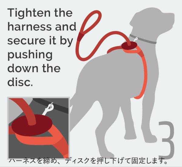 画像6: 【アメリカ老舗のこだわりハンドメイド】リフレクティブ・イージー 1-2-3 コンビネーション ハーネス／リード (6)