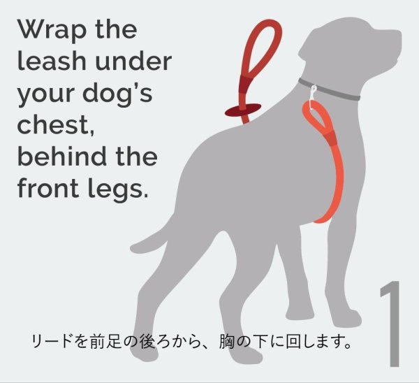 画像4: 【アメリカ老舗のこだわりハンドメイド】リフレクティブ・イージー 1-2-3 コンビネーション ハーネス／リード (4)