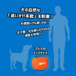 画像5: 【ドッグスポーツ用知育プレイボール】チャキット！ビッグエア フェッチ＆ハーディングボール (5)