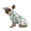 画像8: 【ドゴペットファッションの犬用帽子】サボテン柄！カクタス・ハット (8)