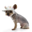 画像2: 【ドゴペットファッションの犬用帽子】サボテン柄！カクタス・ハット (2)