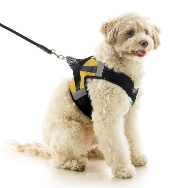 画像5: 【快適さと安全に特化！落ち着かせる効果も】ソフトメッシュ X ステップイン ハーネス (5)