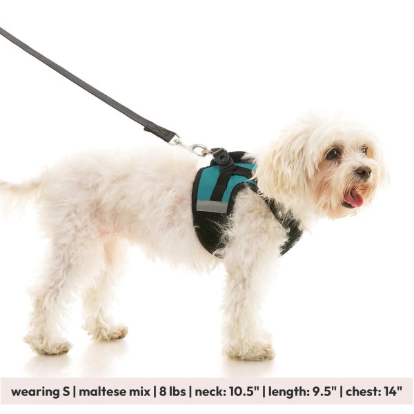 画像29: 【快適さと安全に特化！落ち着かせる効果も】ソフトメッシュ X ステップイン ハーネス (29)