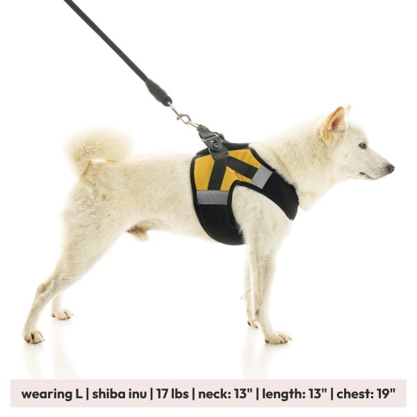 画像32: 【快適さと安全に特化！落ち着かせる効果も】ソフトメッシュ X ステップイン ハーネス (32)