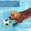 画像19: 【犬専用設計の多機能ボールトイ】ハイパーペット グラブタブ付き サッカーボール (19)