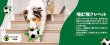 画像13: 【犬専用設計の多機能ボールトイ】ハイパーペット グラブタブ付き サッカーボール (13)