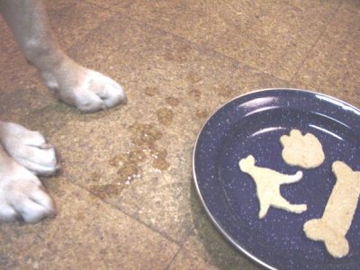 画像1: 【26種クッキー型☆各種犬ネコ〜かわいい形が色々！】