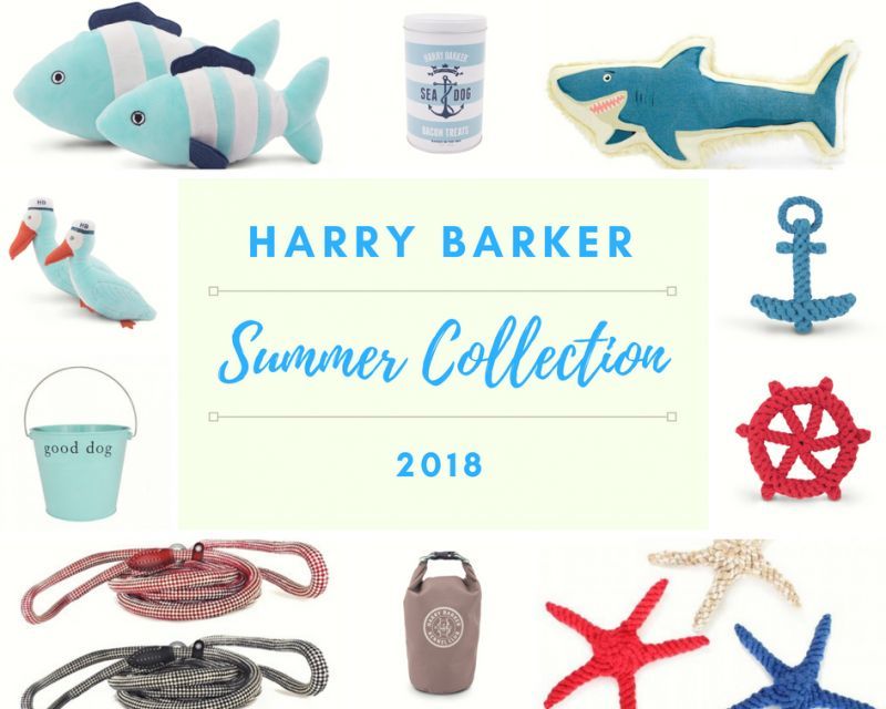 2018年のハリーバーカー夏の新商品が入荷！