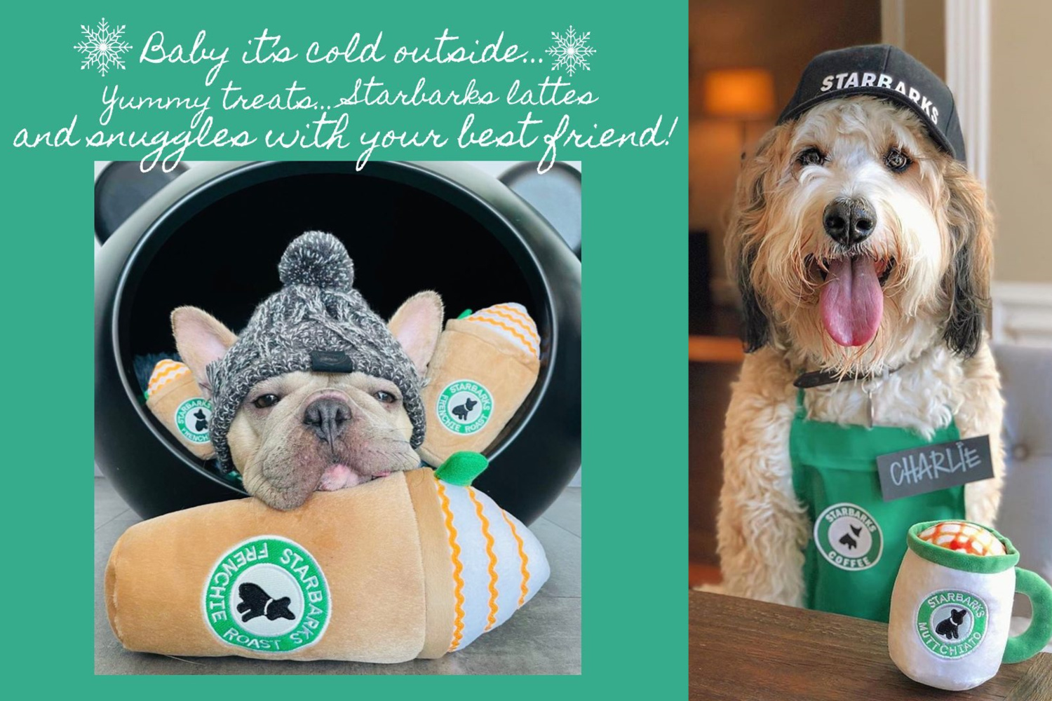 オートディギティドッグ